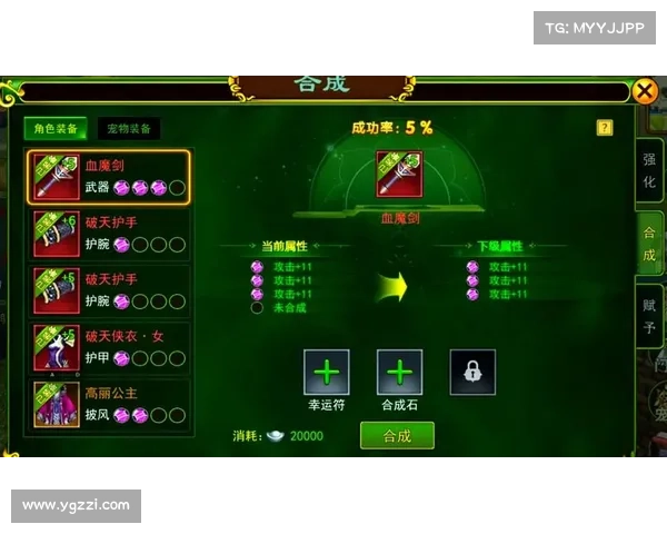 提升刺客伤害与生存的五大必备装备推荐解析