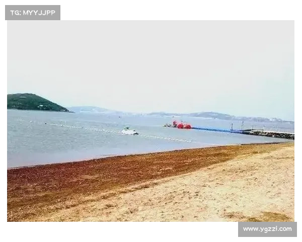 探秘鹤观岛悠然风光尽享自然之美的绝佳体验之旅